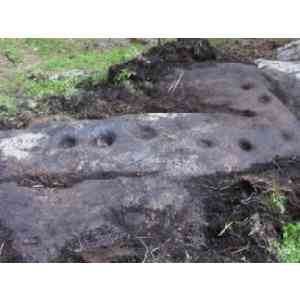 Click para ampliar. Pulsa en el nombre para ver la ficha. Monte do Boi-4